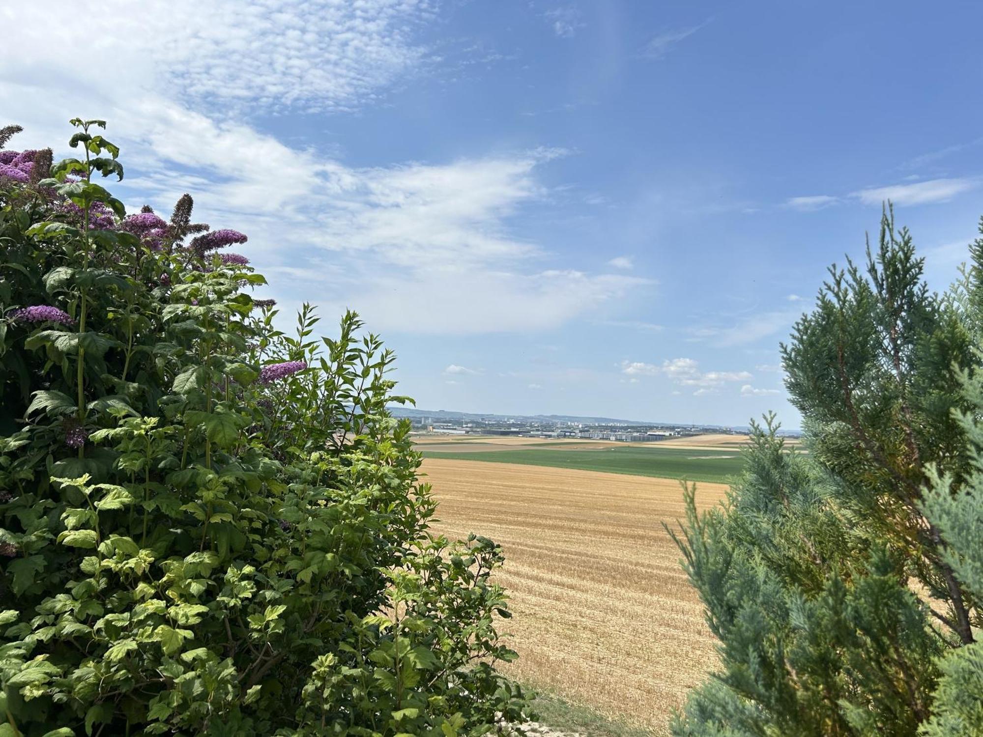 L'Intemporel Cernay-les-Reims Εξωτερικό φωτογραφία